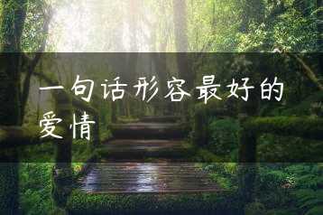 一句话形容最好的爱情缩略图