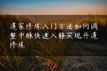 道家修炼入门方法如何调整中脉快速入静实现丹道修炼缩略图 道家修炼入门方法如何调整中脉快速入静实现丹道修炼缩略图
