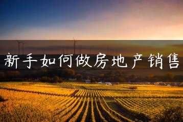 新手如何做房地产销售缩略图