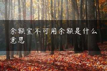 余额宝不可用余额是什么意思缩略图