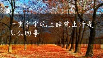 一岁宝宝晚上睡觉出汗是怎么回事缩略图