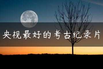 央视最好的考古纪录片缩略图
