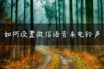 如何设置微信语音来电铃声缩略图 如何设置微信语音来电铃声缩略图