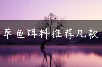 草鱼饵料推荐几款缩略图 草鱼饵料推荐几款缩略图