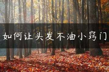 如何让头发不油小窍门缩略图