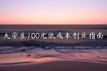 大学生100元低成本创业指南缩略图