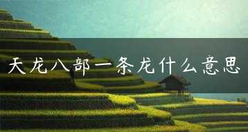 天龙八部一条龙什么意思缩略图 天龙八部一条龙什么意思缩略图