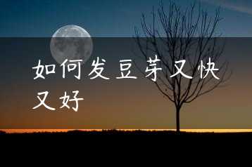 如何发豆芽又快又好缩略图