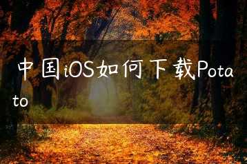 中国iOS如何下载Potato缩略图