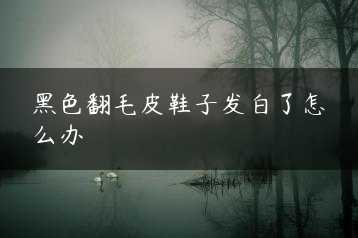 黑色翻毛皮鞋子发白了怎么办缩略图
