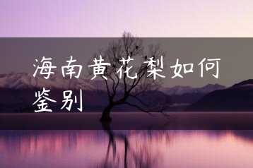 海南黄花梨如何鉴别缩略图