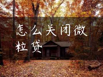 怎么关闭微粒贷缩略图