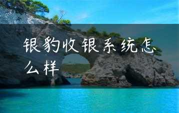 银豹收银系统怎么样缩略图