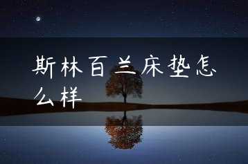 斯林百兰床垫怎么样缩略图