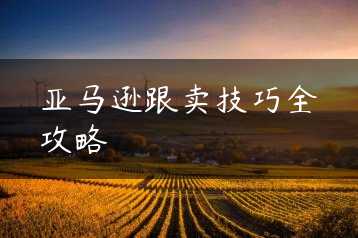 亚马逊跟卖技巧全攻略缩略图