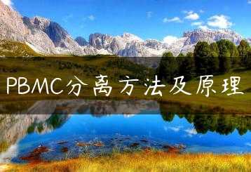 PBMC分离方法及原理缩略图 PBMC分离方法及原理缩略图