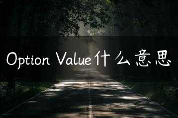 Option Value什么意思缩略图