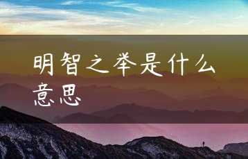 明智之举是什么意思缩略图
