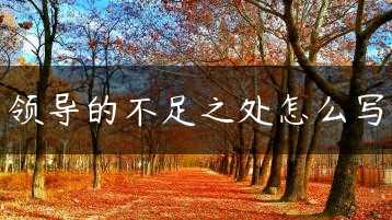领导的不足之处怎么写缩略图 领导的不足之处怎么写缩略图