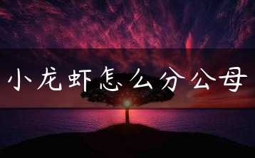 小龙虾怎么分公母缩略图