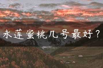 永莲蜜桃几号最好？缩略图