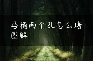 马桶两个孔怎么堵图解缩略图