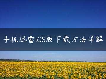 手机迅雷iOS版下载方法详解缩略图 手机迅雷iOS版下载方法详解缩略图