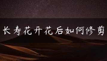 长寿花开花后如何修剪缩略图