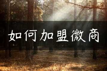 如何加盟微商缩略图