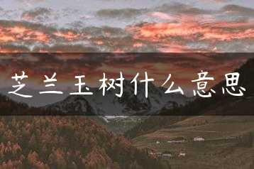 芝兰玉树什么意思缩略图