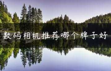 数码相机推荐哪个牌子好缩略图
