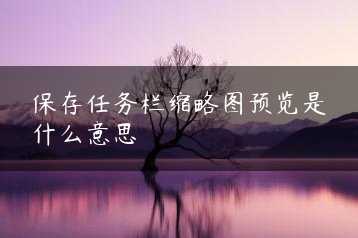 保存任务栏缩略图预览是什么意思缩略图