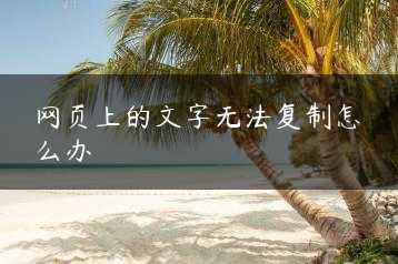 网页上的文字无法复制怎么办缩略图