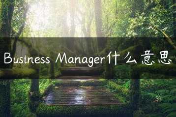 Business Manager什么意思缩略图