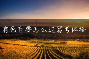 有色盲要怎么过驾考体检缩略图