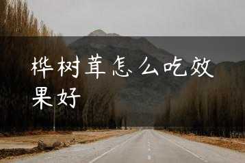 桦树茸怎么吃效果好缩略图 桦树茸怎么吃效果好缩略图