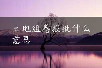 土地组卷报批什么意思缩略图