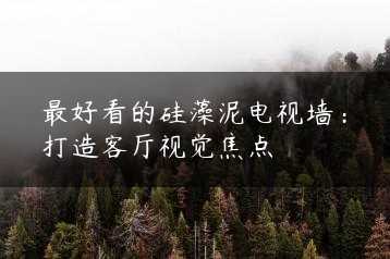 最好看的硅藻泥电视墙：打造客厅视觉焦点缩略图