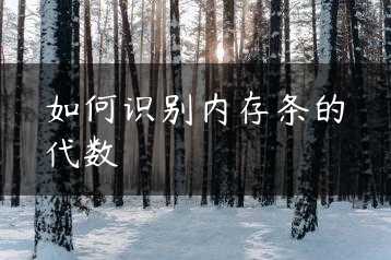 如何识别内存条的代数缩略图