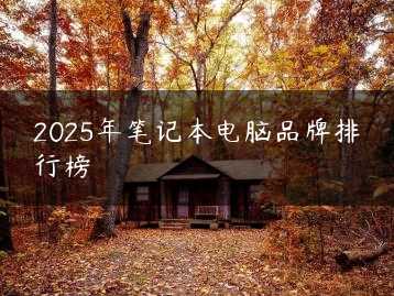 2025年笔记本电脑品牌排行榜缩略图
