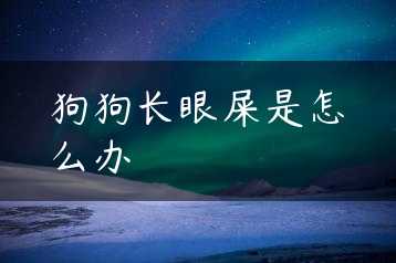 狗狗长眼屎是怎么办缩略图 狗狗长眼屎是怎么办缩略图