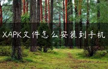 XAPK文件怎么安装到手机缩略图 XAPK文件怎么安装到手机缩略图