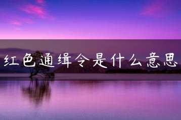 红色通缉令是什么意思缩略图