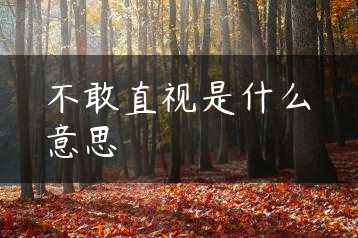不敢直视是什么意思缩略图