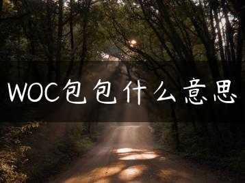 WOC包包什么意思缩略图