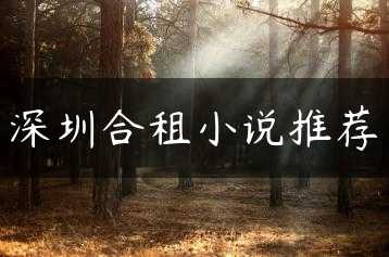 深圳合租小说推荐缩略图