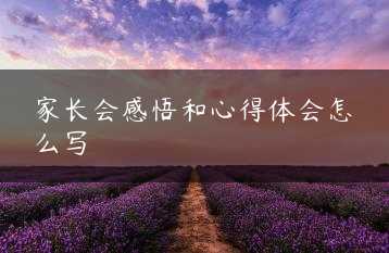 家长会感悟和心得体会怎么写缩略图 家长会感悟和心得体会怎么写缩略图