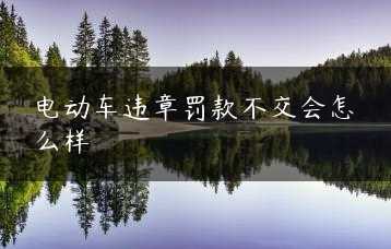 电动车违章罚款不交会怎么样缩略图 电动车违章罚款不交会怎么样缩略图