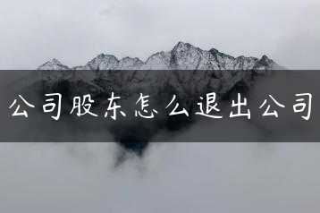 公司股东怎么退出公司缩略图 公司股东怎么退出公司缩略图