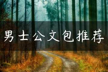 男士公文包推荐缩略图